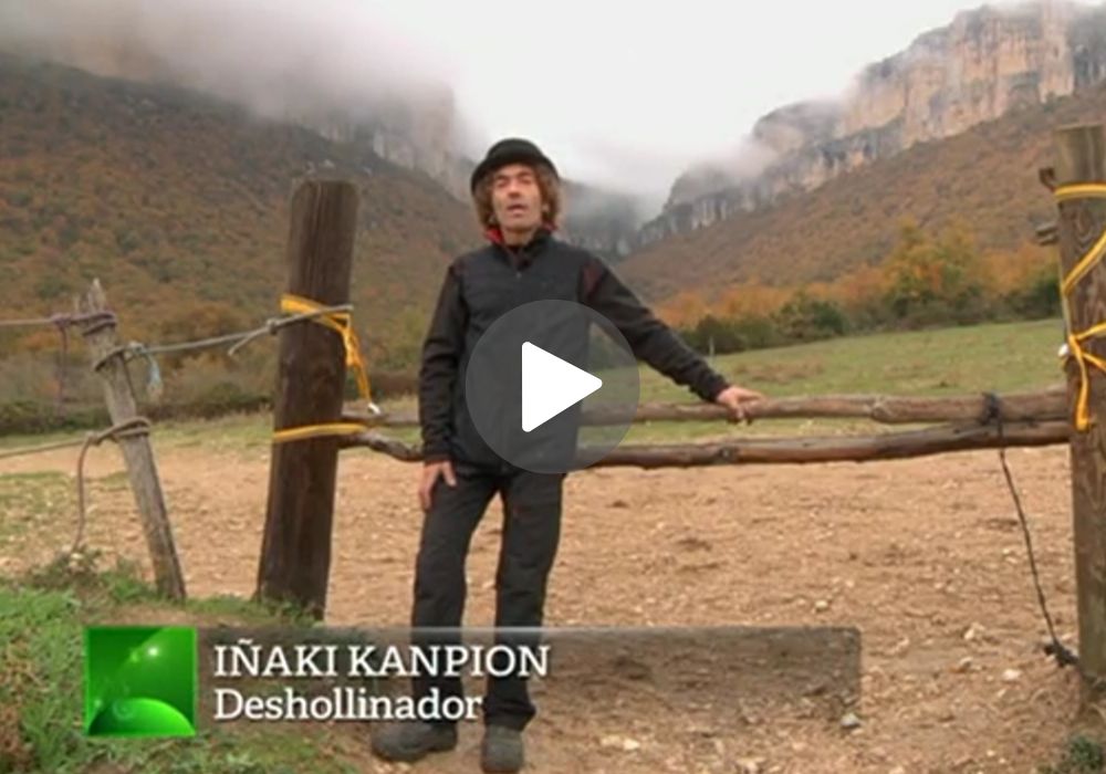 video deshollinador en navarra